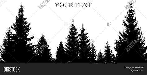 Tree Silhouette Images, Stock Photos & Illustrations | Bigstock | Tree silhouette, Forest ...