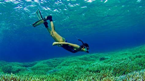 Snorkeling in Pigeon Island, Soul Sri Lanka, Tour Company in Colombo, Holiday and Travel ...