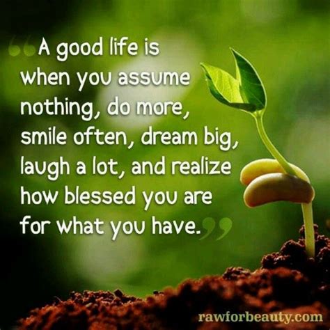 good life It's A Good Life, Good Life Quotes, Great Quotes, Thoughts Quotes, Awesome Quotes ...