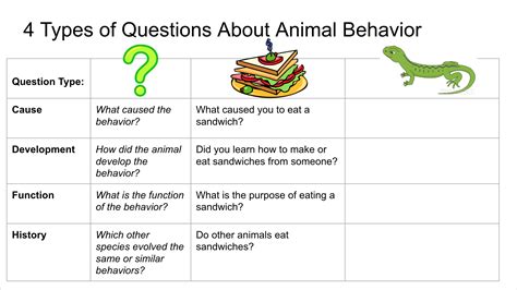 Lesson Plan: Asking Questions About Animal Behavior