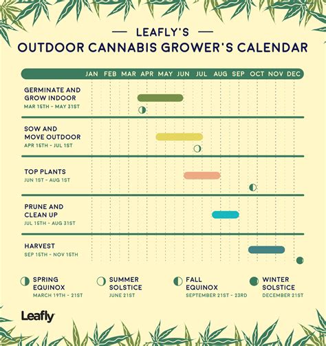 Leafly's Outdoor Cannabis Grower's Calendar - High Desert Relief