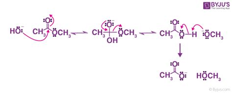 Ester Hydrolysis: Definition, Types, Mechanism, Applications