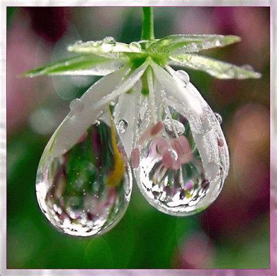 Foto animada Water Drop Photography, Macro Photography, Creative Photography, Cute Pictures To ...