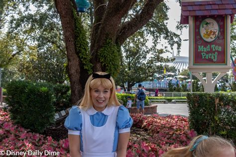 Complete Guide to Magic Kingdom Characters | Disney Daily Dime