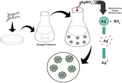 Mathematisch Chromatisch Peitsche synthetic routes for the preparation of silver nanoparticles ...