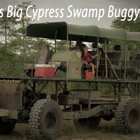 C&G's Big Cypress Swamp Buggy Tours - All You Need to Know BEFORE You ...