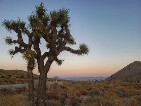 Mojave Desert Sunset Wallpapers - 4k, HD Mojave Desert Sunset ...