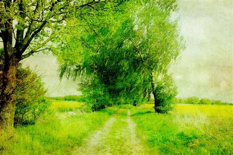 Landscape Painting Trees Free Stock Photo - Public Domain Pictures