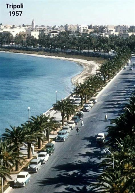 the beach is lined with palm trees and parked cars in front of the ...