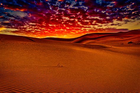 Morocco Sand Dune Sunrise #2 Photograph by Stuart Litoff - Fine Art America