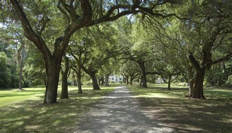 Pin on South carolina travel