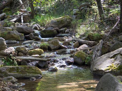 AZ's See Canyon Hiking Trail: Creeks, Shade & views on the Mogollon Rim ...