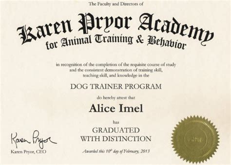 How to Become a Dog Trainer: Career, Salary & Training (2024 Updated)