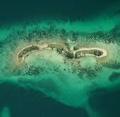 WWF and TNC assess climate change impacts on the Mesoamerican Reef | WWF