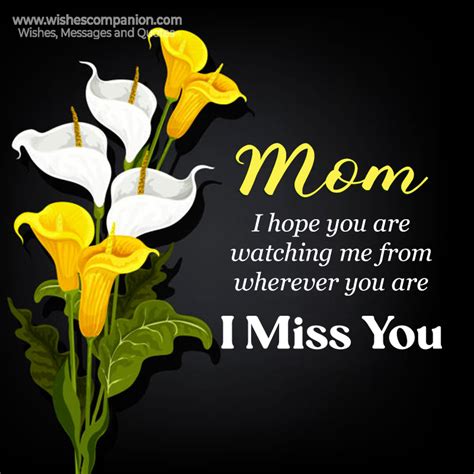 50+ Heart Touching I Miss You Mom Status and Images