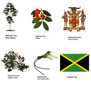 The Jamaica’s National Symbols | Traverse Jamaica