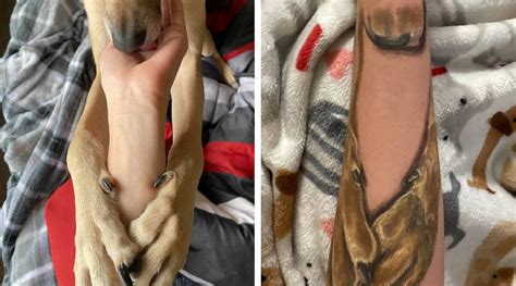 The woman has the most special tattoo in memory of her beloved dog! – Animal News