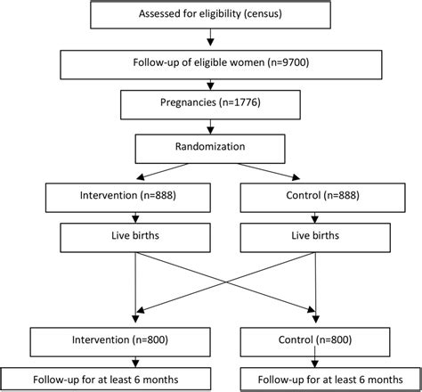 Study design of the randomised controlled trial. | Download Scientific Diagram