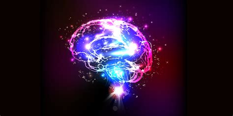 brain, Anatomy, Medical, Head, Skull, Digital, 3 d, X ray, Xray, Psychedelic Wallpapers HD ...