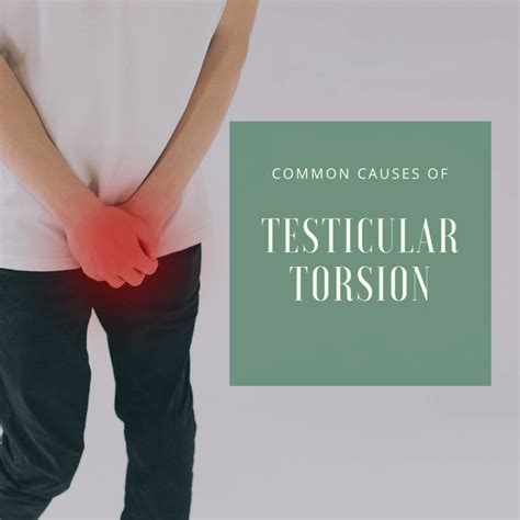 Common Causes of Testicular Torsion | NYC | SoHo Men's Health