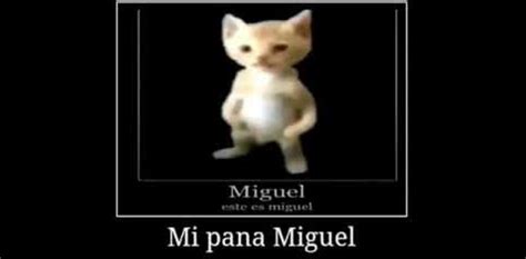 Miguel / Michael | Know Your Meme