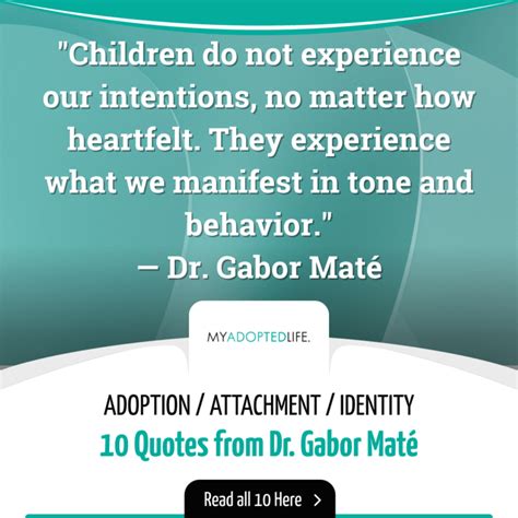 Attachment, Identity, Adoption: 10 Related Quotes by Dr. Gabor Maté - My Adopted Life