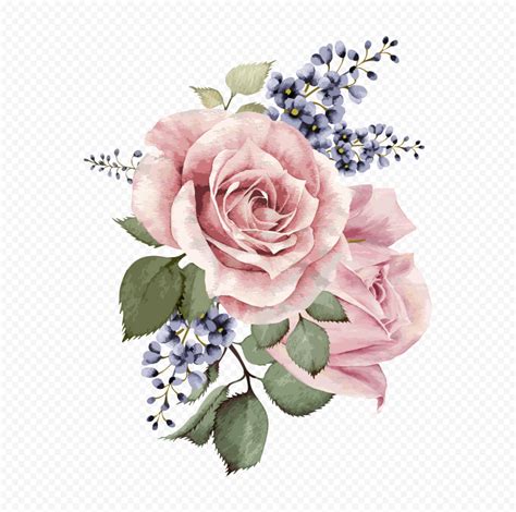 PNG Watercolor Pink Garden Roses | Citypng