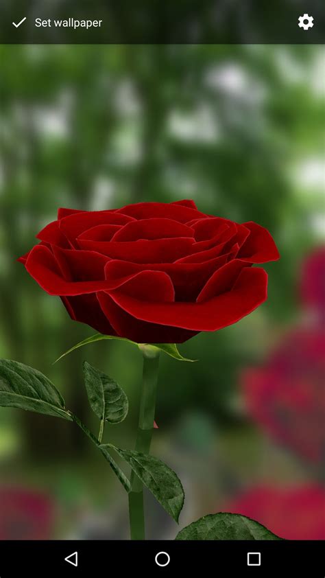 3D Rose Live Wallpaper Free - App on Amazon Appstore