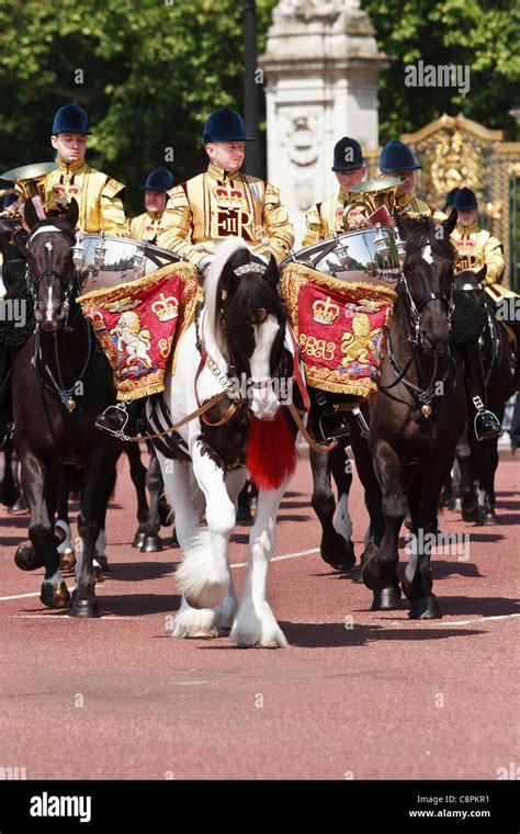 Mounted Bands of the Household Cavalry at Trooping the Colour Stock ...