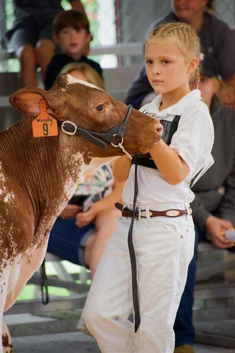 Herkimer County Fair NY - Community | Facebook