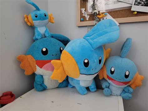 17 best r/mudkip images on Pholder | I got a child