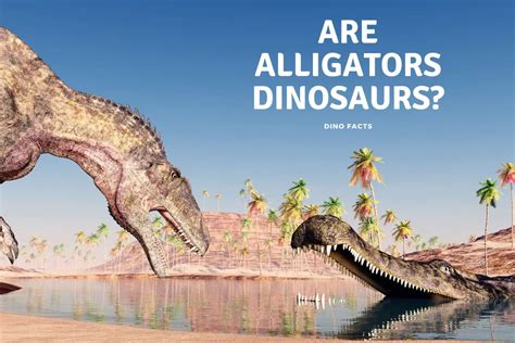 Are Alligators Dinosaurs? - Dinosaur Facts For Kids