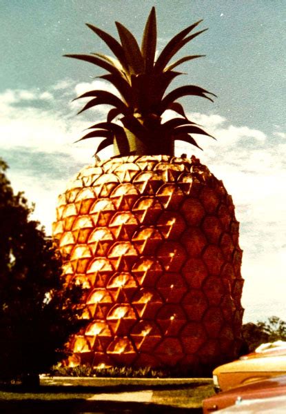 Big Pineapple opens in Queensland - Australian Food Timeline