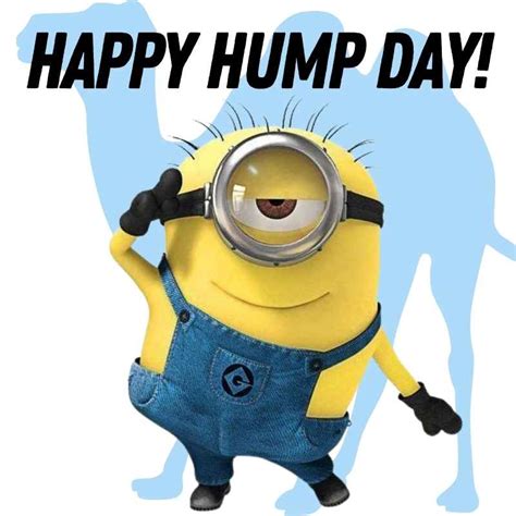 Happy Hump Day Funny Meme