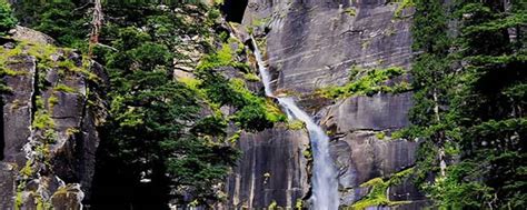 Jogini Waterfall Trek - Himachal Travel Wings