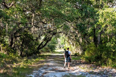 Best Hiking Trails in Central Florida - Florida Splendors