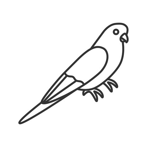 Budgerigar linear icon. Thin line illustration. Common parakeet. Parrot. Contour symbol. Vector ...