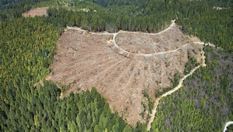 Soil Erosion Due to Rainforest Deforestation | Sciencing