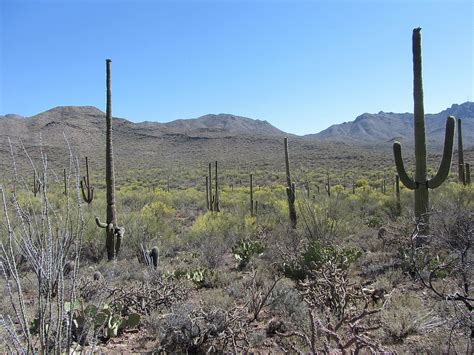 Great Plains - Region of Texas