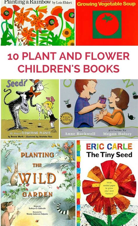 10 Children's Books All About Plants and Flowers Preschool Books, Preschool Theme, Preschool ...