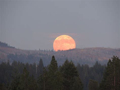 Full Moon Festival - Forest Ranch Charter School