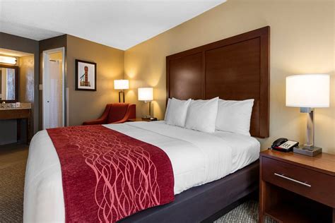 COMFORT INN MEMPHIS DOWNTOWN (TN): opiniones y precios