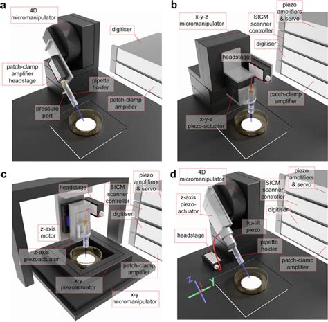 Smart versus conventional patch-clamp setup. (a) Typical conventional ...