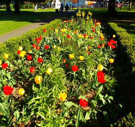 Manor Park, SUTTON, Surrey, Greater London (3) | Photo taken… | Flickr