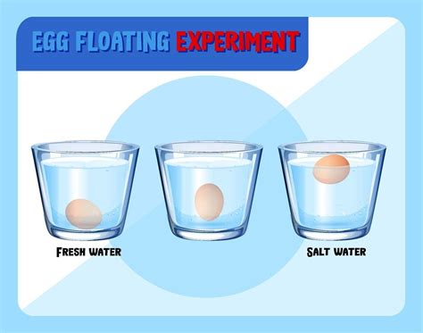 Science experiment with egg float test 2145726 Vector Art at Vecteezy