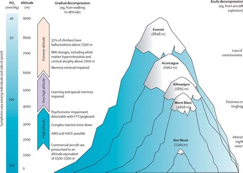 The cerebral effects of ascent to high altitudes - The Lancet Neurology