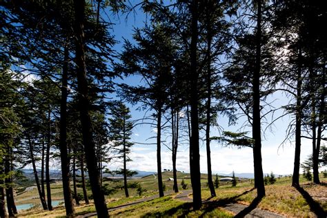 National Arboretum Canberra by Tonkin Zulaikha Greer Architects ...