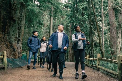 People Hiking in a Forest · Free Stock Photo