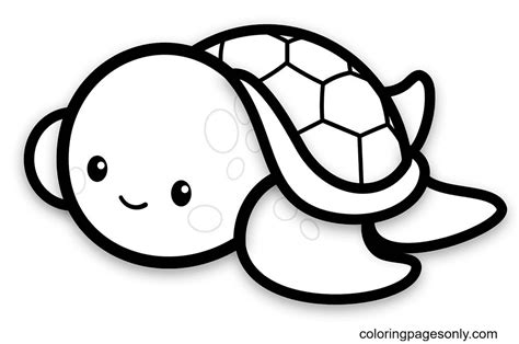 Cartoon Baby Turtle Coloring Pages