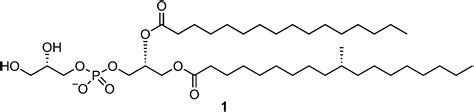 Phosphatidylglycerol Structure